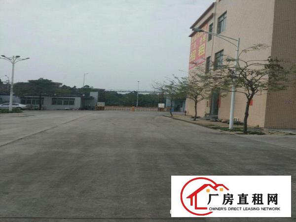  高埗,万江,道滘,中堂新大小厂房出租汇集