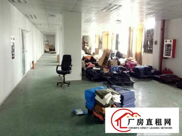  高埗大量独院标准带一楼500-4500平方多种厂房