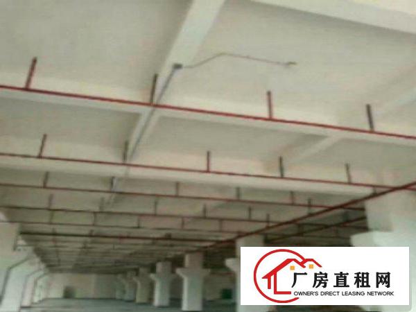  高埗标准一楼重工业厂房1500平方火爆招租管理规范，厂房水电