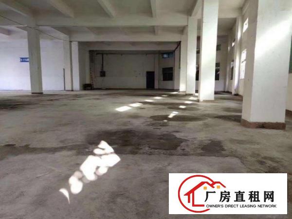  出租高埗镇护安围标准一楼1100平方电150