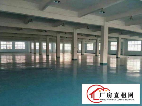 高埗镇卢溪独院标准3楼1500平厂房出租带地坪漆