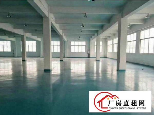 高埗镇卢溪独院标准3楼1500平厂房出租带地坪漆