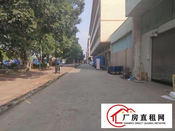  出租高埗镇草墩村简易厂房