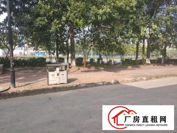  出租高埗镇草墩村简易厂房