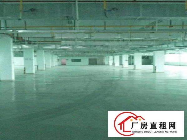  花园式独院厂房一楼400平米招租