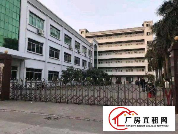  标准厂房一楼600平米招租