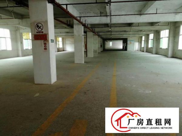  东莞市高埗1000平方优质楼房1栋2楼出租水电齐全，位于成熟