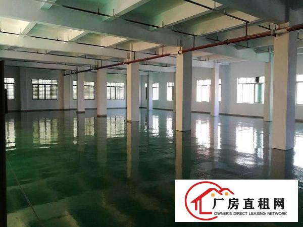  高埗标准一楼或二楼1500平方急租(现成办公室)适合各种行