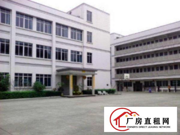  高埗.1000平超大超靓标准厂房分租好招工适合各类型小加工