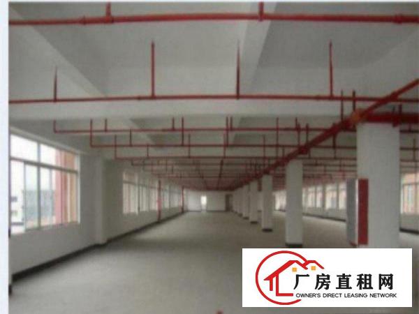  高埗一楼厂房出租50015002000平方出租配电按需，