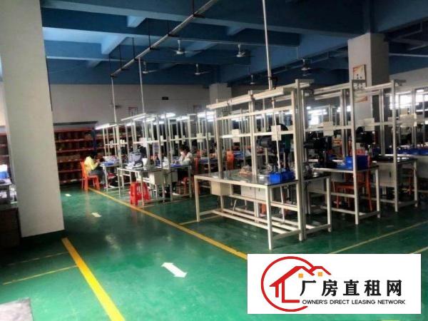  出租高埗镇横滘头标准独院3300平，现成装修水电
