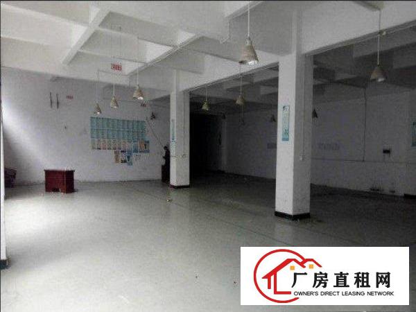  高埗镇塘厦独院标准3楼300平厂房出租停车位充足