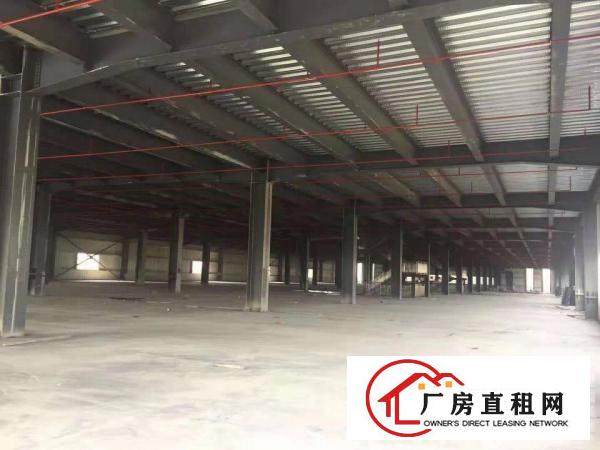  万江高埗中堂附近大量厂房出租独院独栋分租均有