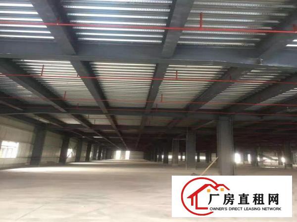  万江高埗中堂附近大量厂房出租独院独栋分租均有