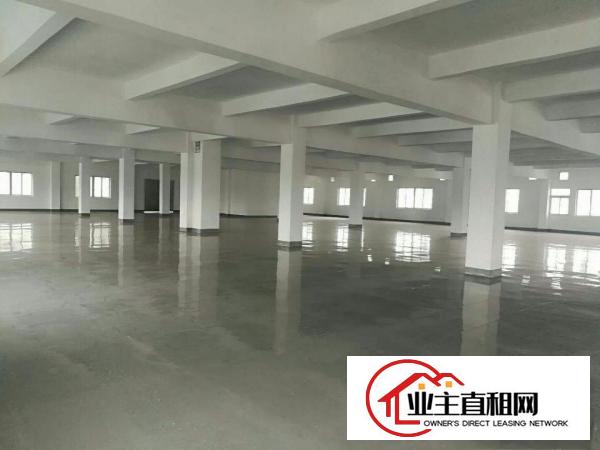  高埗标准一楼厂房500-5000平米低价招租