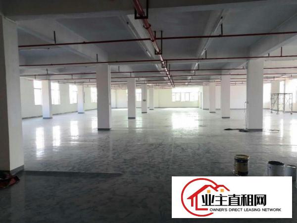  高埗标准一楼厂房500-5000平米低价招租