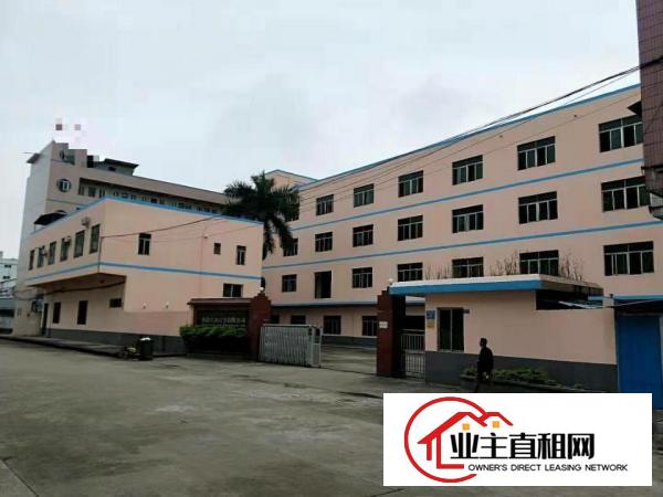  高埗标准一楼厂房500-5000平米低价招租