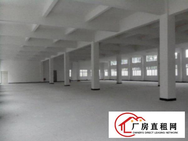  高埗标准楼上厂房分租500-3000平出租