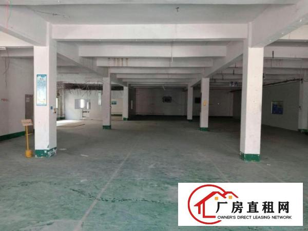  高埗工业区标准厂房分租2200平出租纸品包装，拉链，鞋，加工