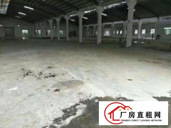  高埗单一层2600平方米全新独院钢结构厂房招租离高速出口仅有
