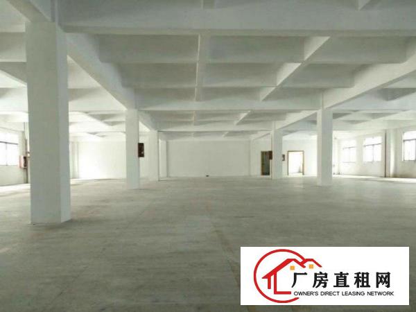  高埗工业区标准厂房分租楼上1000平