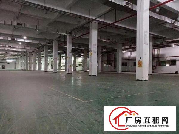  高埗工业区2楼2000平米独院标准厂房招租空地集中，有部分绿