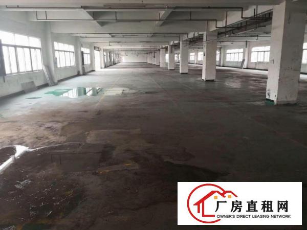  高埗工业区标准厂房分租楼上1600平方出租水电齐全，另有单一
