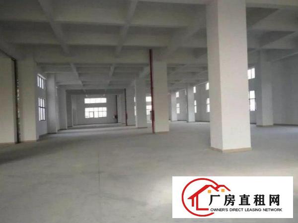  高埗独院标准厂房一楼2300平方出租周边配套相当完善