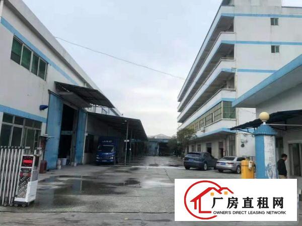  高埗独院单一层3400方厂房滴水11米高带独立办公楼豪华装修