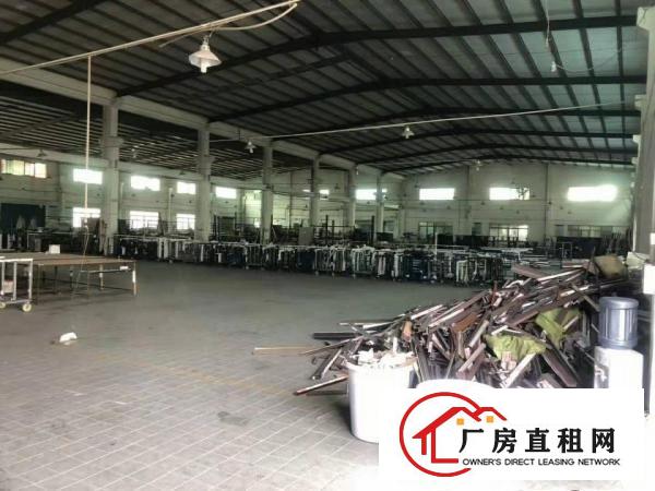  高埗独院单一层3400方厂房滴水11米高带独立办公楼豪华装修