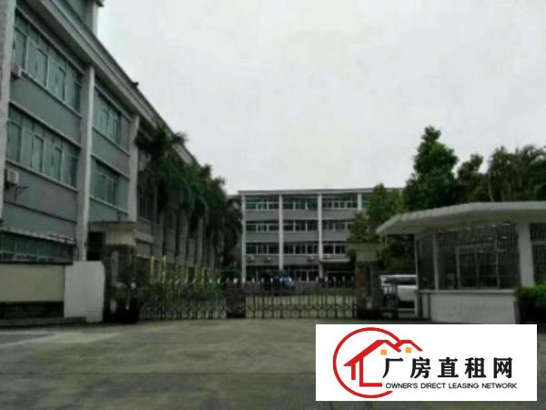  高埗标准一楼重工业有办公室装修厂房3000平方火爆招租