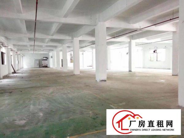  高埗带地坪漆水电现成装修一楼厂房700平出租有地坪漆，形象漂