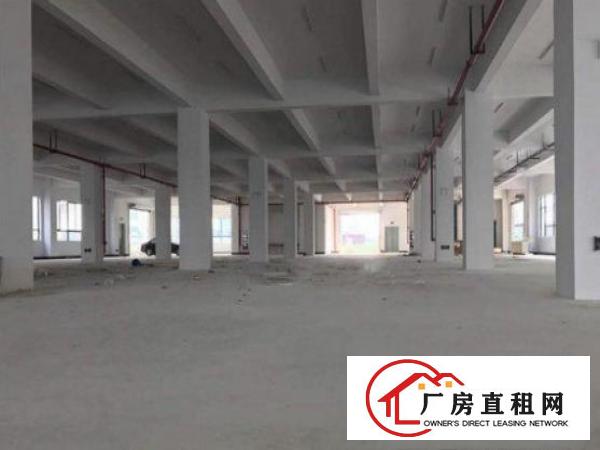  高埗厂房仓库招租20000平方靠近环城路，交通便捷，厂‌‌房