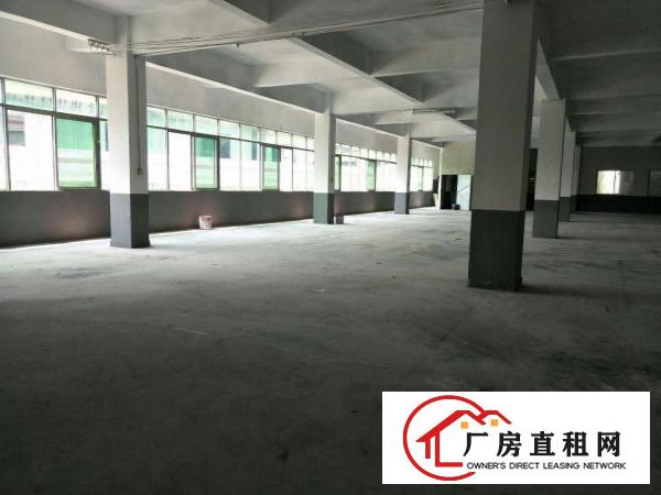  高埗标准一楼或二楼1500平方急租(现成办公室)宿舍按需