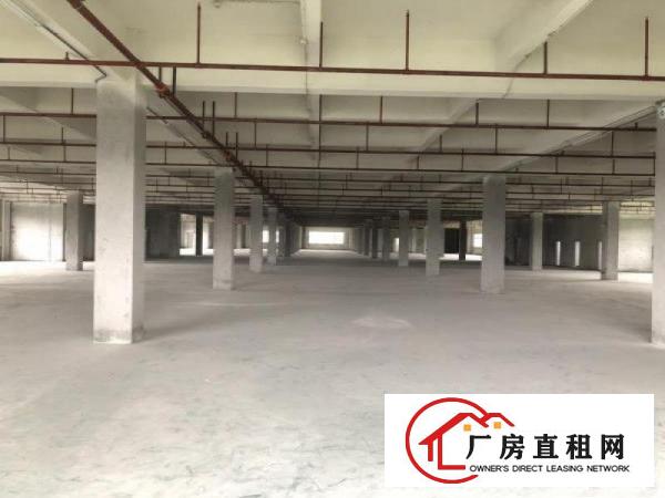  高埗楼上厂房分租500-3000平出租内有简单装修，有现成线