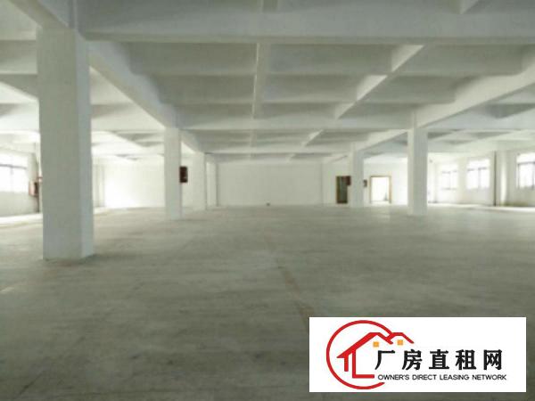  高埗工业区标准厂房分租楼2000平出租适合做电子等行业