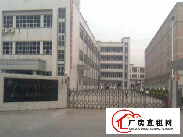  高埗带现成装修标准一楼1500平方招租