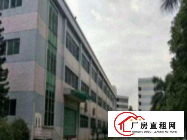  高埗独院标准厂房2层3200平方带卸货平台出租可办环评
