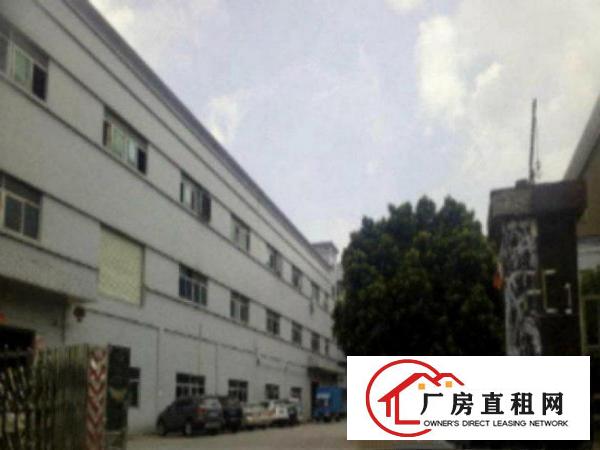  高埗花园独院厂房分租一楼800,形象好适合塑胶行业生产