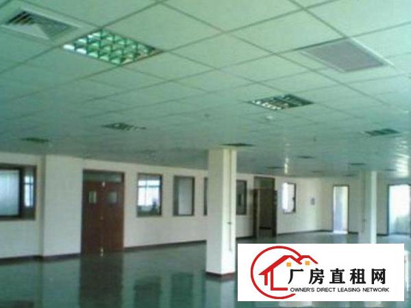  高埗现有300-20000平方厂房招租出租