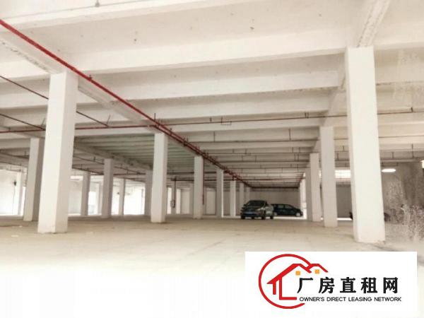  高埗标准一楼厂房800或1000㎡出租(配套齐全配套合理