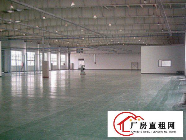  高埗二坊独院标准厂房仓库1300平方招租