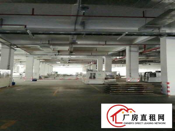  高埗标准厂房分租一楼1800平方带办公室装修现成办公室装修