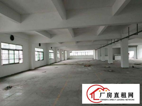  护安围原房东独门独院厂房，2楼整层1200平方