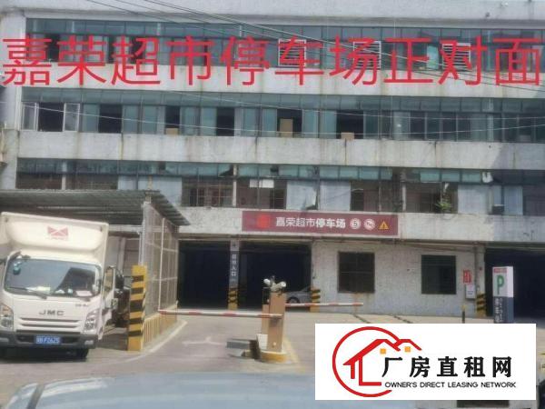  厂房招租出租高埗镇高埗城区