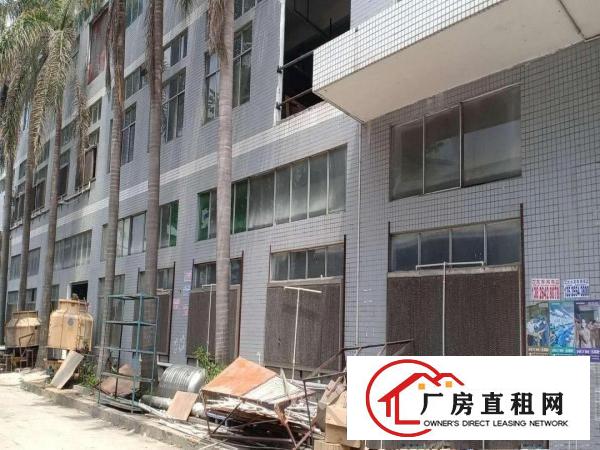  高埗原房东标准厂房一楼出租