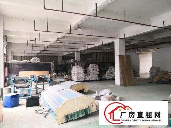  高埗原房东标准厂房一楼出租