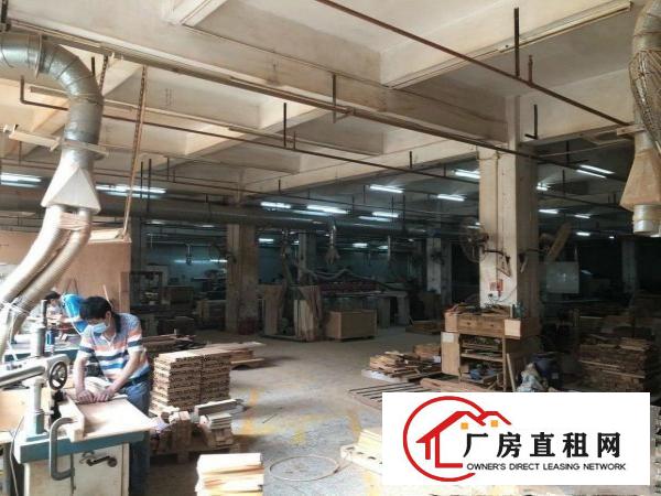  高埗镇冼沙独院原房东标准厂房3层13000平