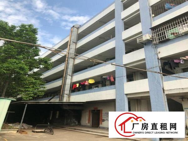  高埗镇冼沙独院原房东标准厂房3层13000平