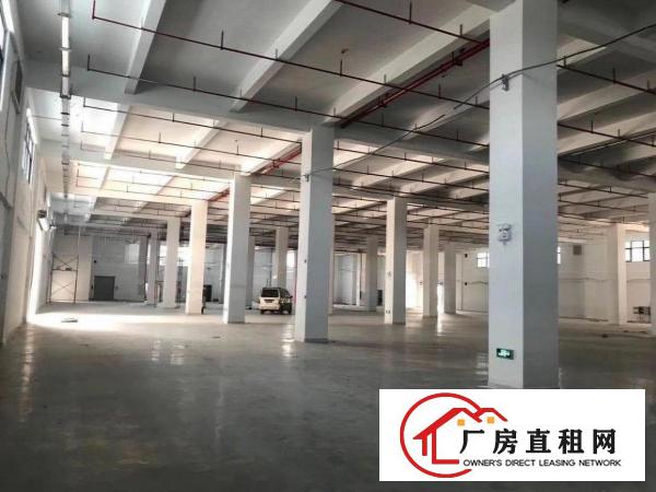  高埗镇横滘头工业区分租一楼5300平